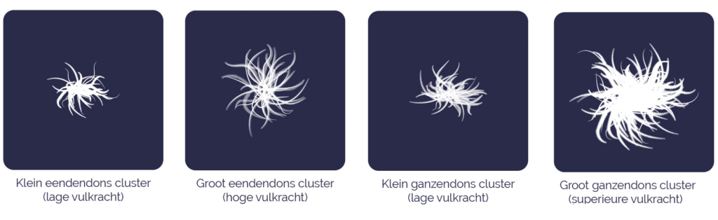 5 Verschillen eenden- ganzendons | Donskussen.nl